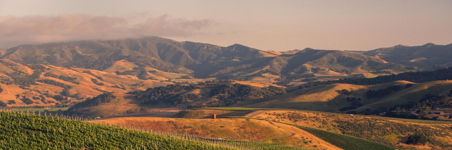 Contact jackson family wines